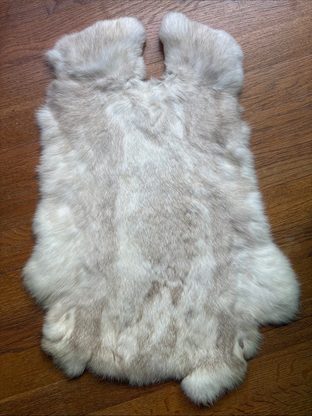 B0070 Natural Cream Rabbit Fur Pelt Soft Plush Texture